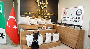Şanlıurfa'da uyuşturucu operasyonu