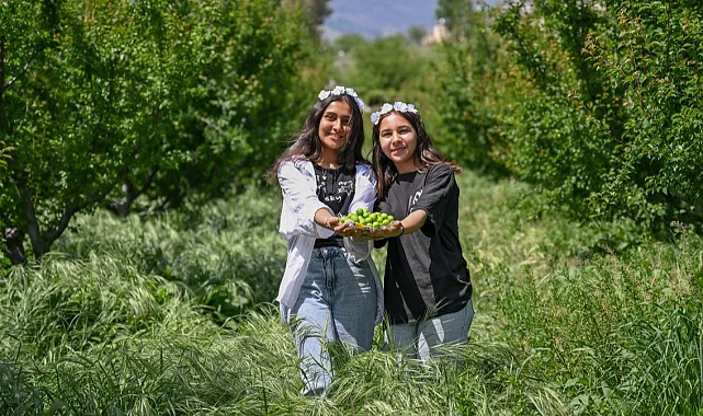 4. Göksu Gravga Şenliği'nde lezzet ve eğlence bir arada
