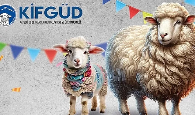 Kayseri Talas'ta France ırkına özel festival