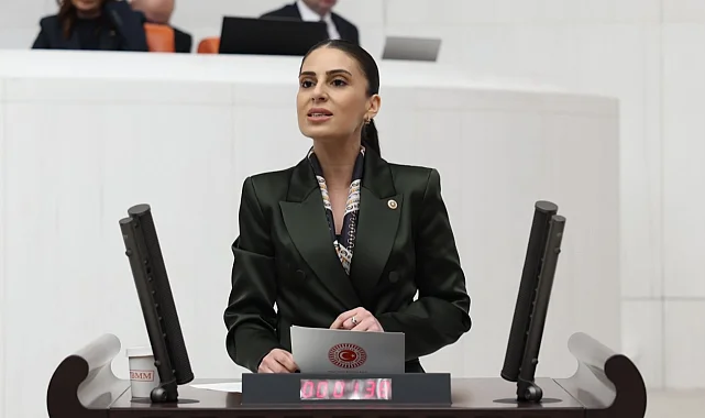 Milletvekili Özcan'dan sokak hayvanları için Bakan Yumaklı'ya önerge