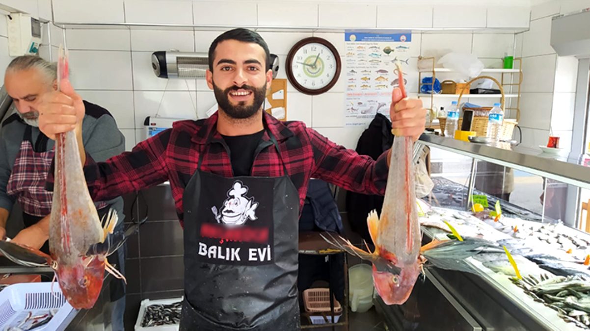 5'er kiloluk kırlangıç balıkları 500'er liradan satışa sunuldu