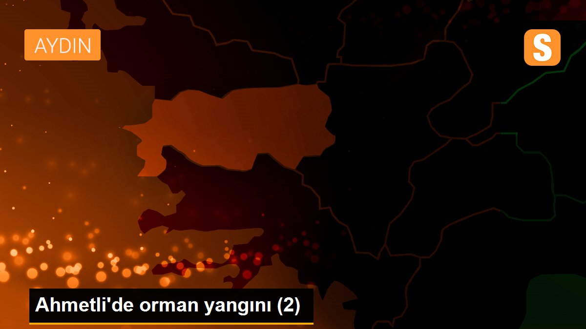Ahmetli'de orman yangını (2)