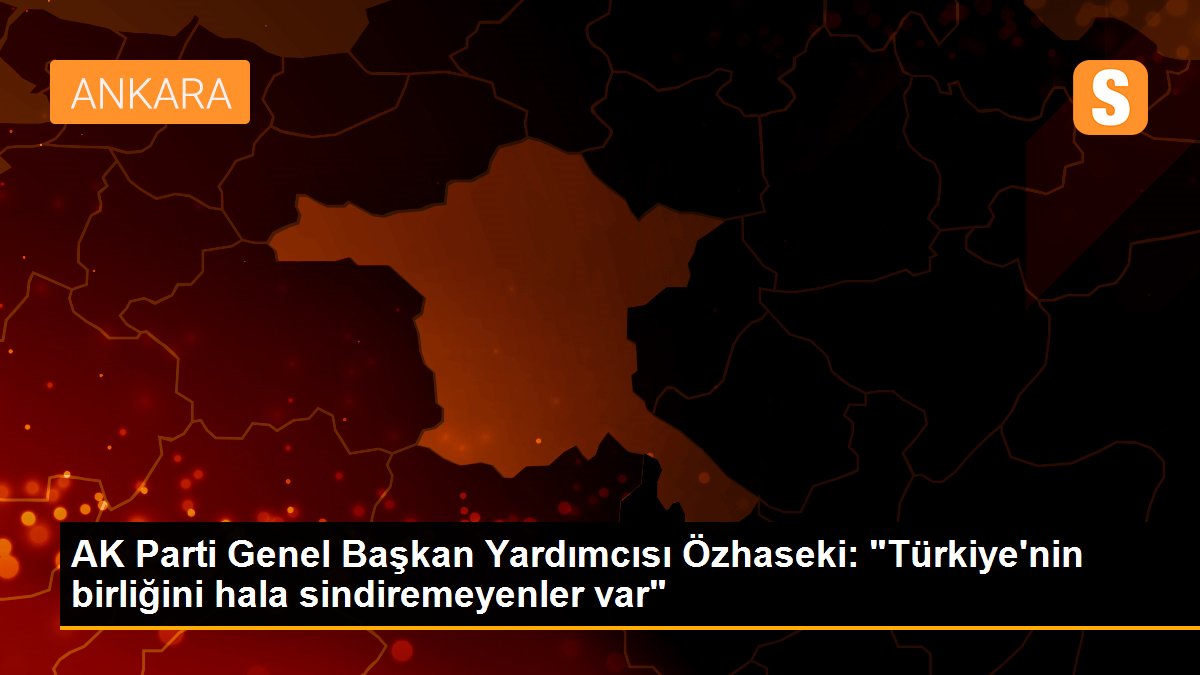 AK Parti Genel Başkan Yardımcısı Özhaseki: "Türkiye'nin birliğini hala sindiremeyenler var"