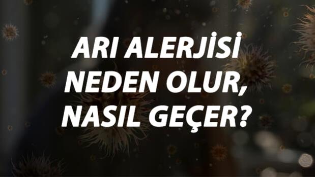 Arı Alerjisi Nedir, Neden Olur ve Nasıl Geçer? Arı Sokması Alerjisi