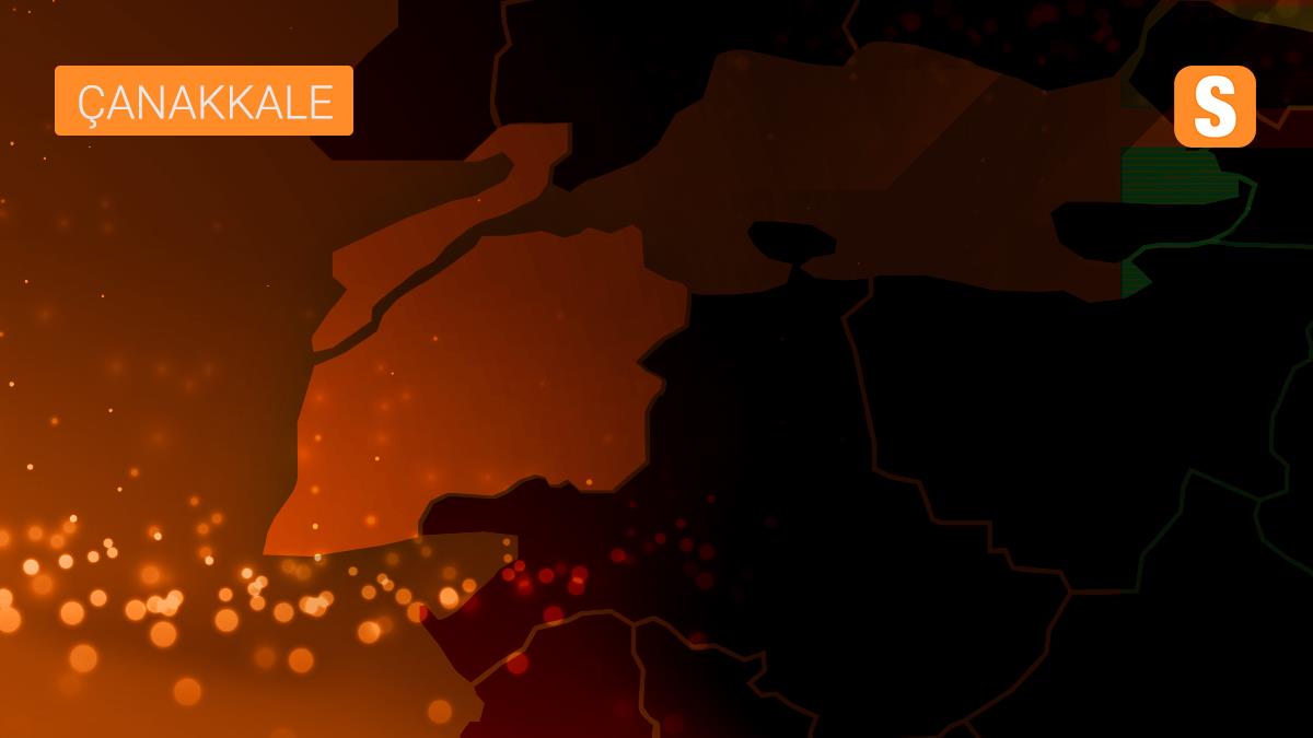 Çanakkale'de durdurulan minibüste 17 sığınmacı tespit edildi