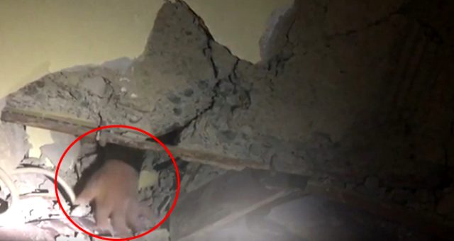 Elazığ depreminin simgesi Azize Çelik 17 saat sonra böyle kurtarıldı