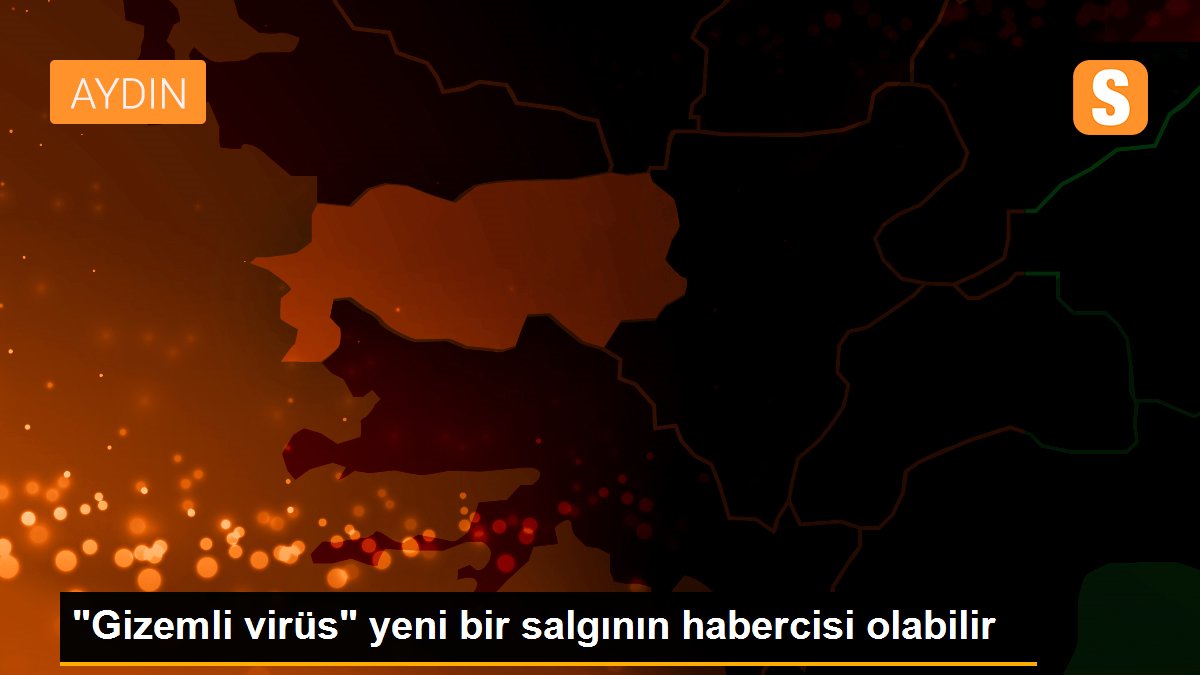 "Gizemli virüs" yeni bir salgının habercisi olabilir