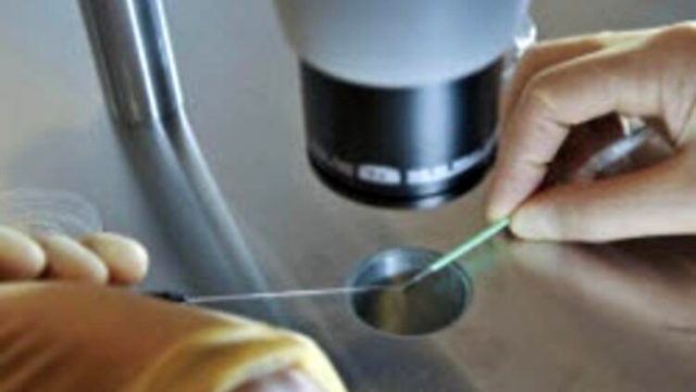 İngiltere, ölümden sonra sperm bağışını tartışıyor!