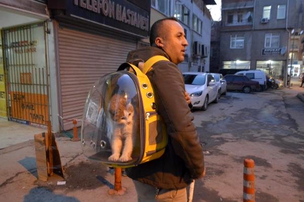İş makinesi operatörü sahiplendiği kediyi sırt çantasında taşıyor