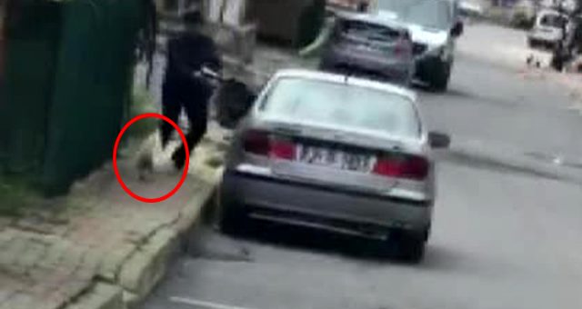 Karşısına çıkan horoza taş atan postacı, sert kayaya çarptı! O anlar kameralara yansıdı