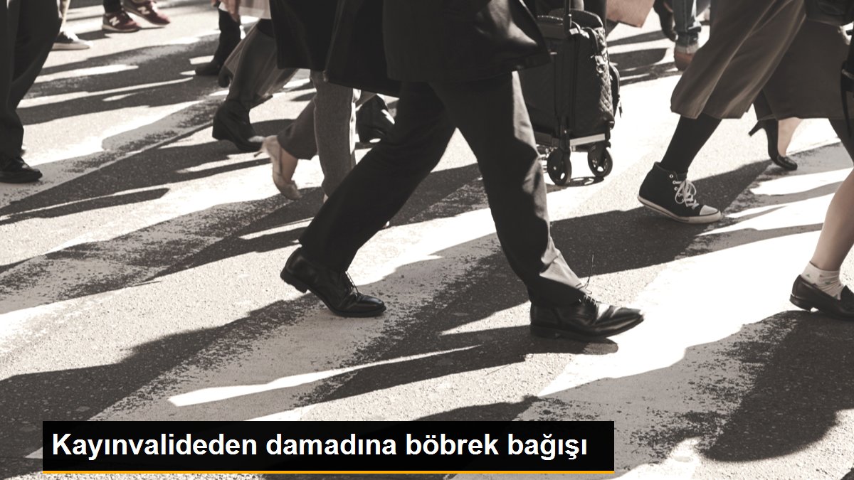Kayınvalideden damadına böbrek bağışı