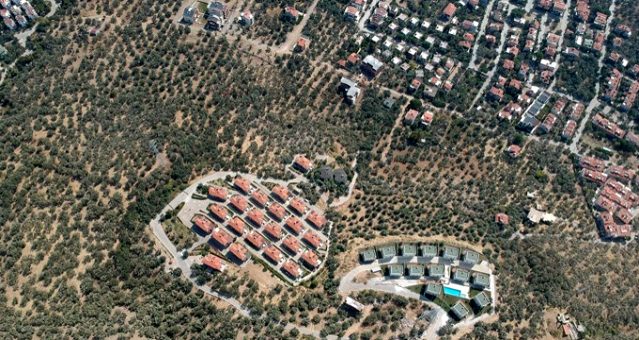 Kaz Dağları'nda villa yapımı için 2.5 milyon zeytin ağacının kesildiği ortaya çıktı