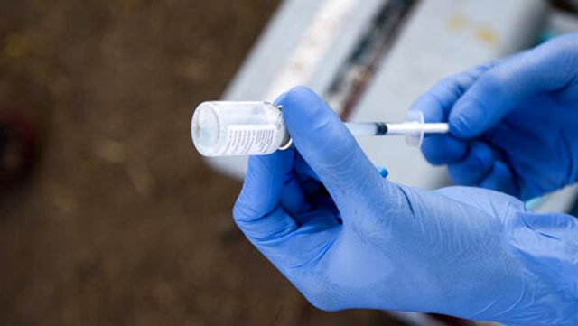 Prof. Dr. Mehmet Ceyhan, Rusya'nın koronavirüs aşısı açıklamasını değerlendirdi: 1-2 ay içinde üretilip dağıtılması mümkün değil