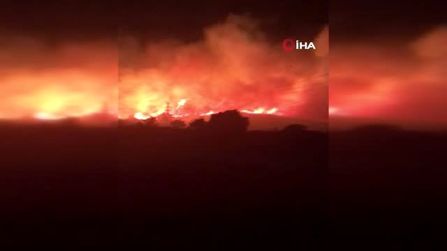 Son Dakika: Çeşme'de otluk alanda yangın paniği