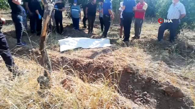 Son dakika haberleri: Bekçilik yaptığı portakal bahçesinde ölü bulundu