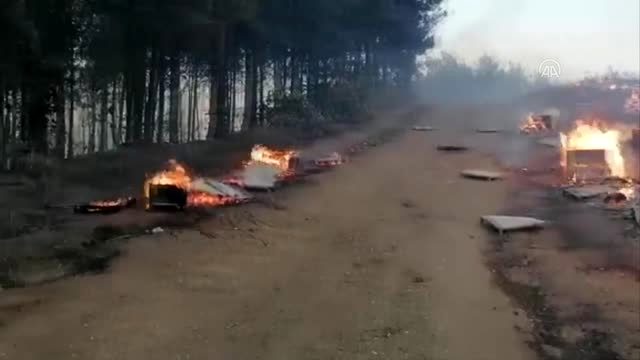 Son Dakika | Zeytinlik ve makilik alanda çıkan yangın ormana sıçradı (5)