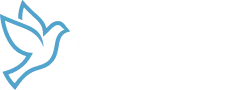 Gazete Demokrat