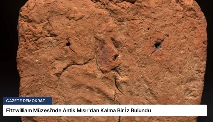 Fitzwilliam Müzesi’nde Antik Mısır’dan Kalma Bir İz Bulundu