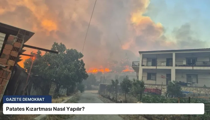 Patates Kızartması Nasıl Yapılır?