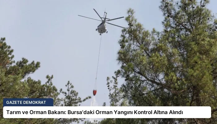 Tarım ve Orman Bakanı: Bursa’daki Orman Yangını Kontrol Altına Alındı