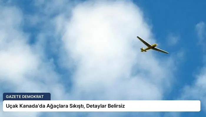 Uçak Kanada’da Ağaçlara Sıkıştı, Detaylar Belirsiz