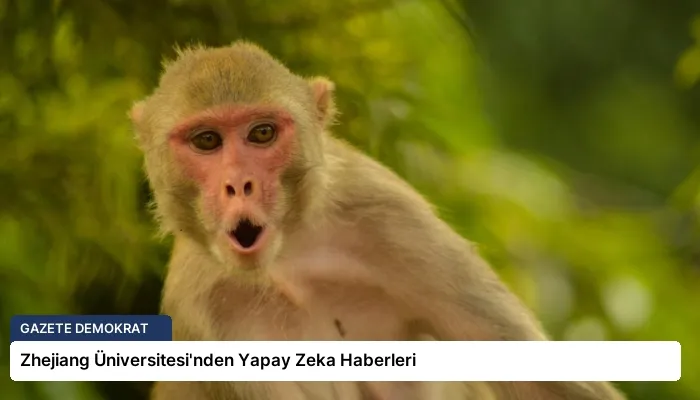 Zhejiang Üniversitesi’nden Yapay Zeka Haberleri
