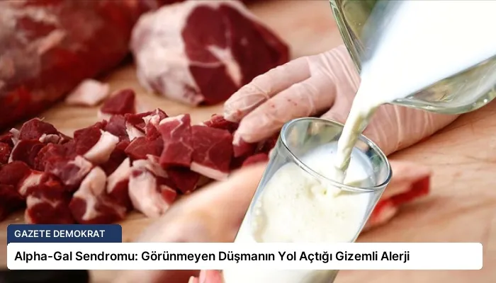 Alpha-Gal Sendromu: Görünmeyen Düşmanın Yol Açtığı Gizemli Alerji