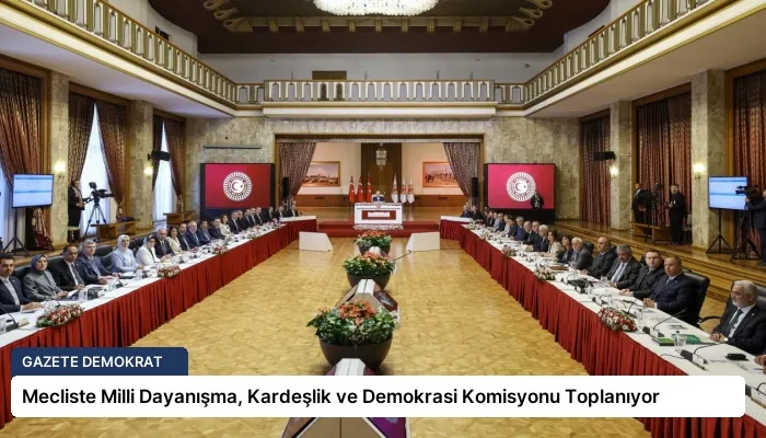 Mecliste Milli Dayanışma, Kardeşlik ve Demokrasi Komisyonu Toplanıyor