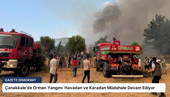 Çanakkale’de Orman Yangını: Havadan ve Karadan Müdahale Devam Ediyor