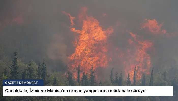 Çanakkale, İzmir ve Manisa’da orman yangınlarına müdahale sürüyor
