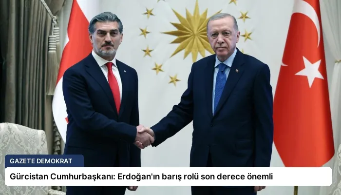 Gürcistan Cumhurbaşkanı: Erdoğan’ın barış rolü son derece önemli