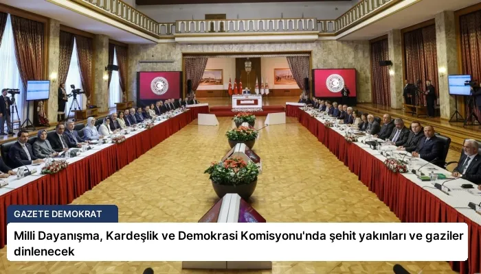 Milli Dayanışma, Kardeşlik ve Demokrasi Komisyonu’nda şehit yakınları ve gaziler dinlenecek