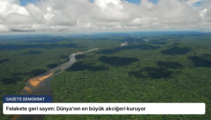 Felakete geri sayım: Dünya’nın en büyük akciğeri kuruyor
