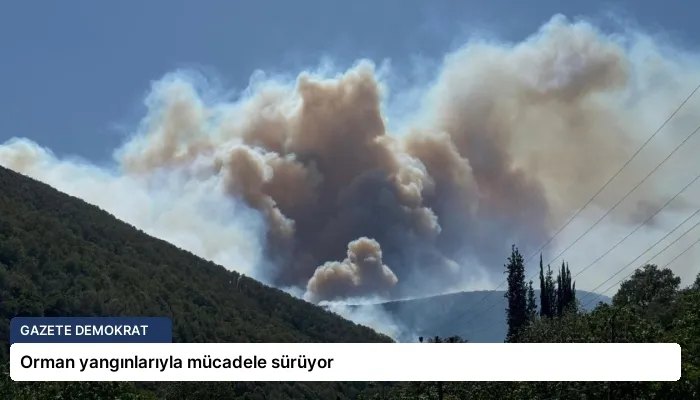 Orman yangınlarıyla mücadele sürüyor