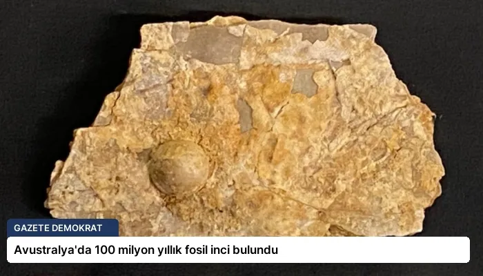 Avustralya’da 100 milyon yıllık fosil inci bulundu