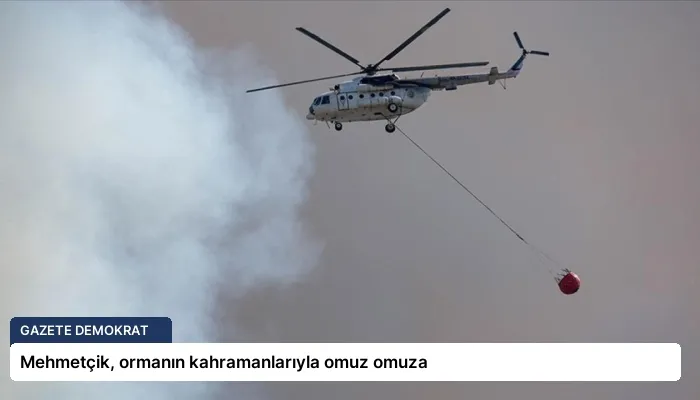 Mehmetçik, ormanın kahramanlarıyla omuz omuza