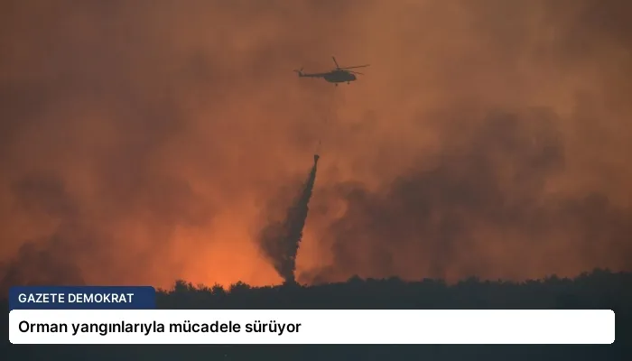 Orman yangınlarıyla mücadele sürüyor