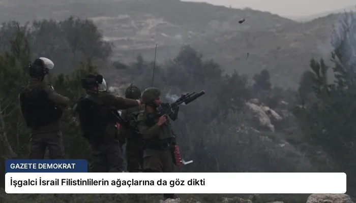 İşgalci İsrail Filistinlilerin ağaçlarına da göz dikti