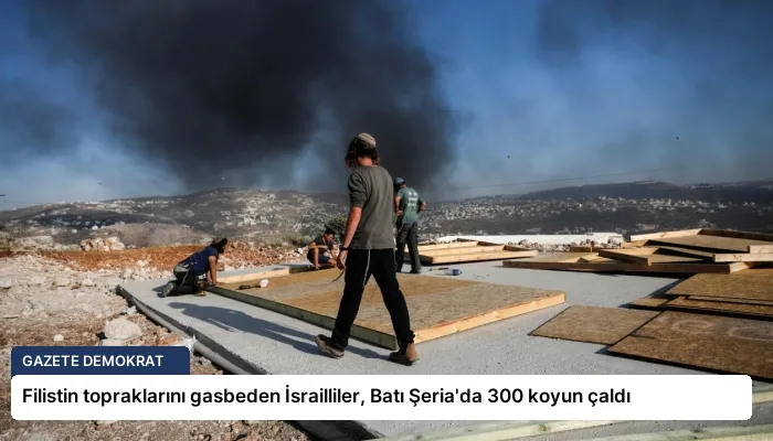 Filistin topraklarını gasbeden İsrailliler, Batı Şeria’da 300 koyun çaldı