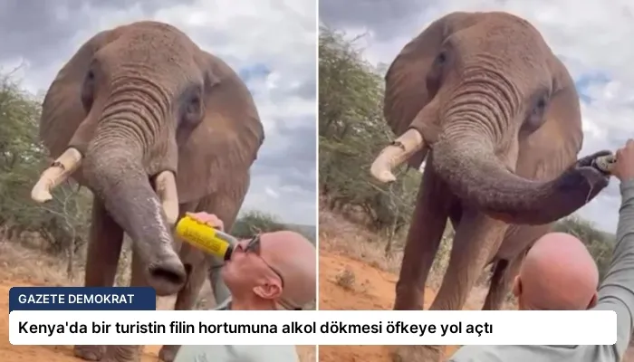 Kenya’da bir turistin filin hortumuna alkol dökmesi öfkeye yol açtı