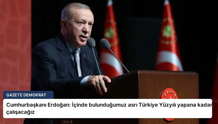 Cumhurbaşkanı Erdoğan: İçinde bulunduğumuz asrı Türkiye Yüzyılı yapana kadar çalışacağız