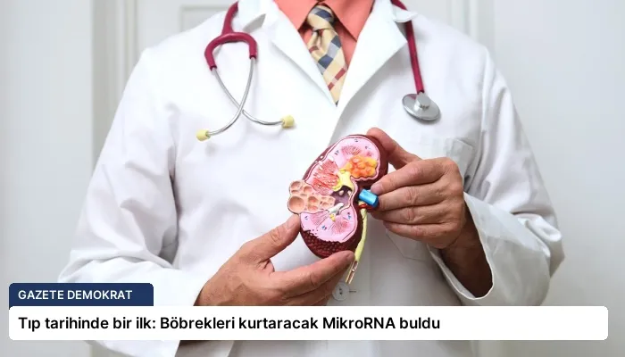 Tıp tarihinde bir ilk: Böbrekleri kurtaracak MikroRNA buldu