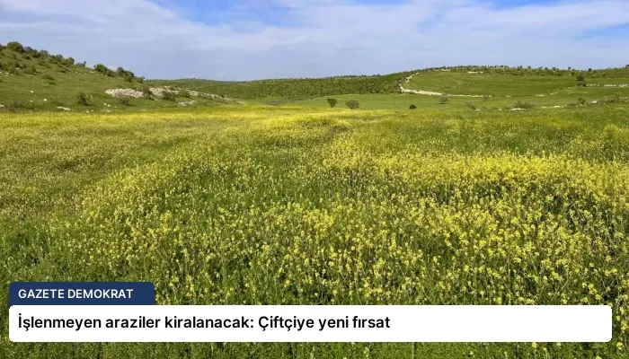 İşlenmeyen araziler kiralanacak: Çiftçiye yeni fırsat
