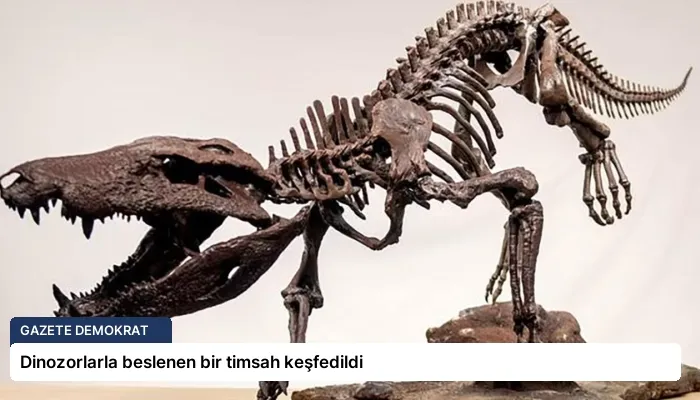 Dinozorlarla beslenen bir timsah keşfedildi