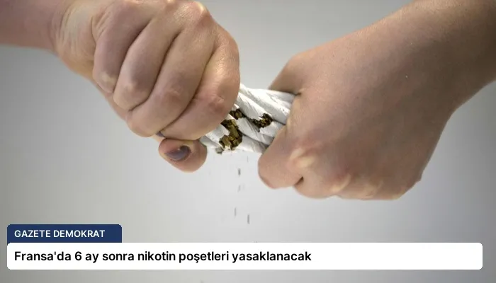 Fransa’da 6 ay sonra nikotin poşetleri yasaklanacak