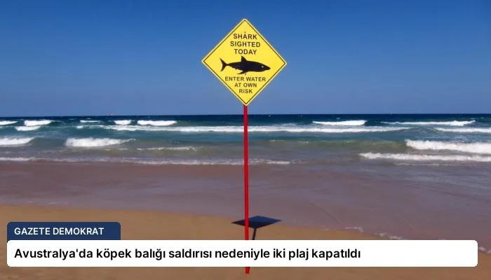 Avustralya’da köpek balığı saldırısı nedeniyle iki plaj kapatıldı