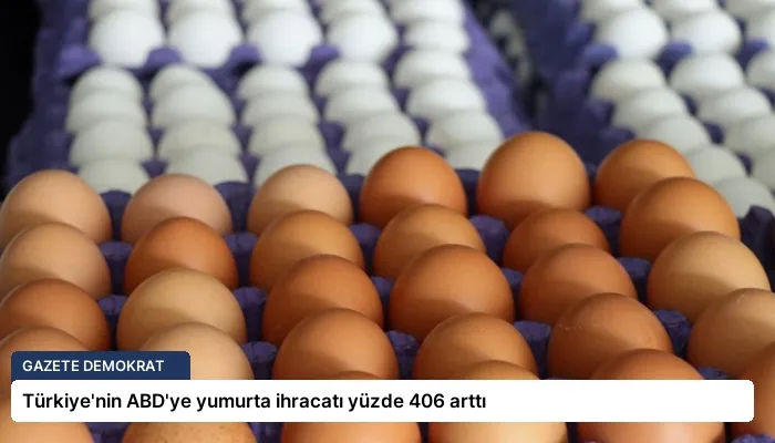 Türkiye’nin ABD’ye yumurta ihracatı yüzde 406 arttı