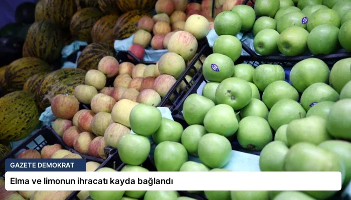 Elma ve limonun ihracatı kayda bağlandı