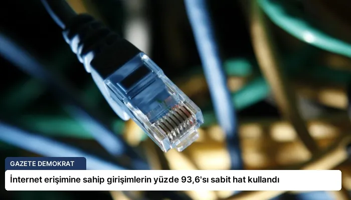 İnternet erişimine sahip girişimlerin yüzde 93,6’sı sabit hat kullandı