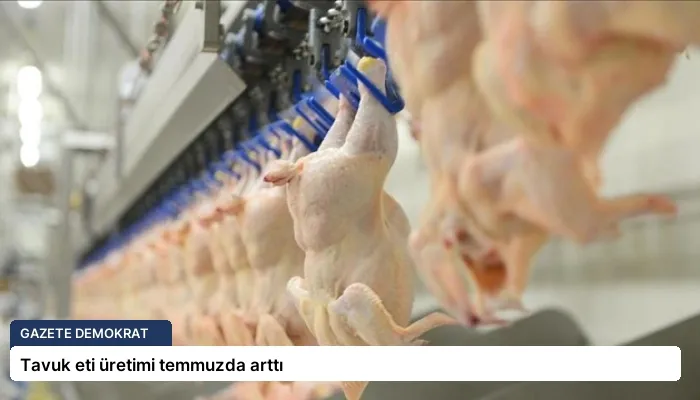 Tavuk eti üretimi temmuzda arttı